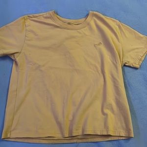 Hollister, short sleeve shirt